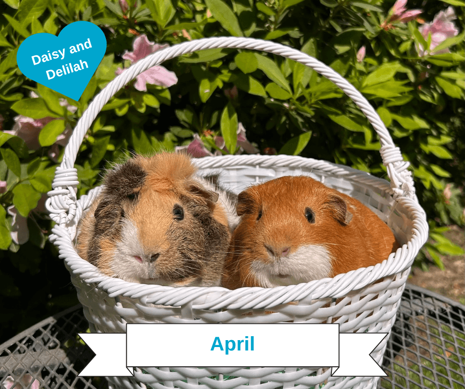 April 2027