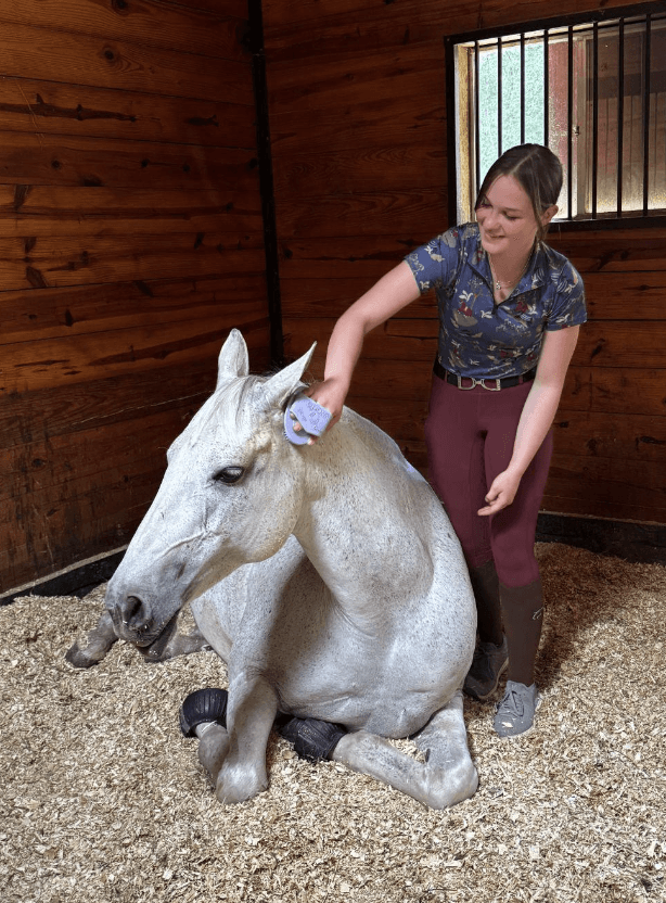 D4K Celebrates Horses and Horsemanship LYDF 2026 Special Awards