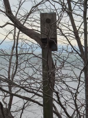 Daily Prayer January 17