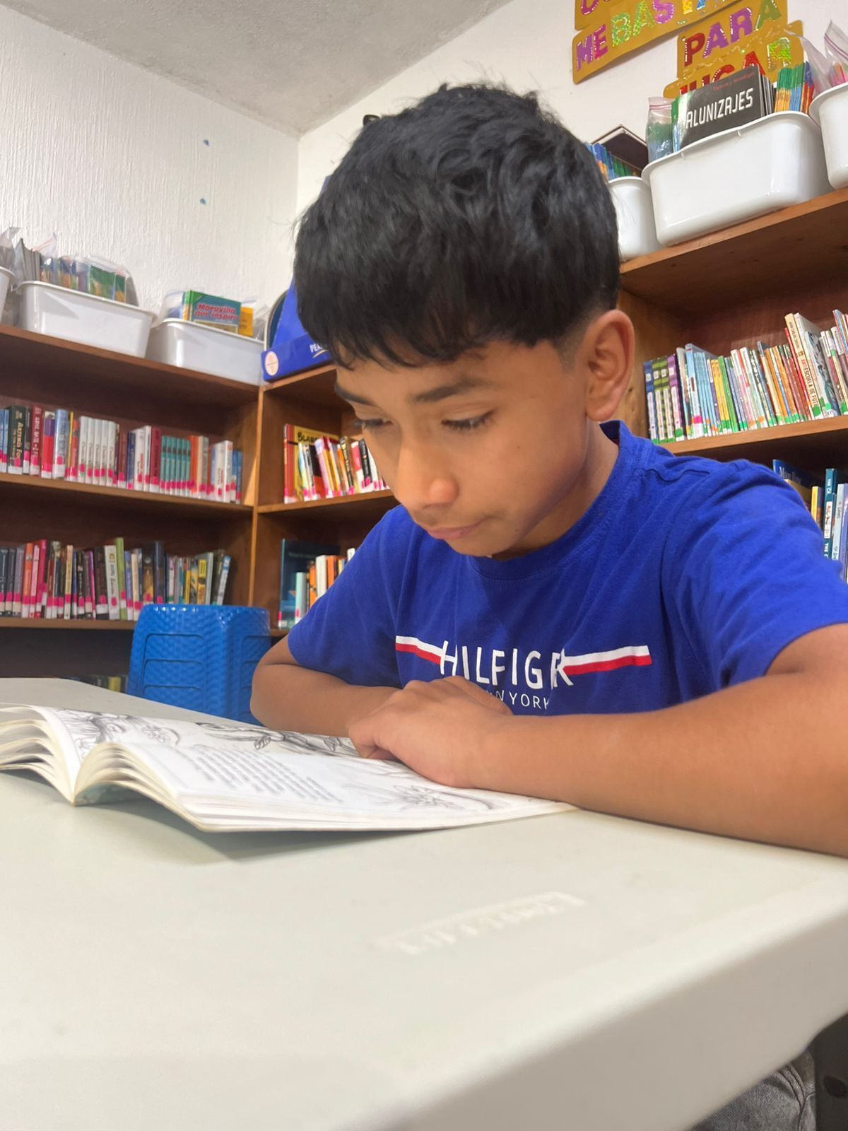 Young boy reading a book.