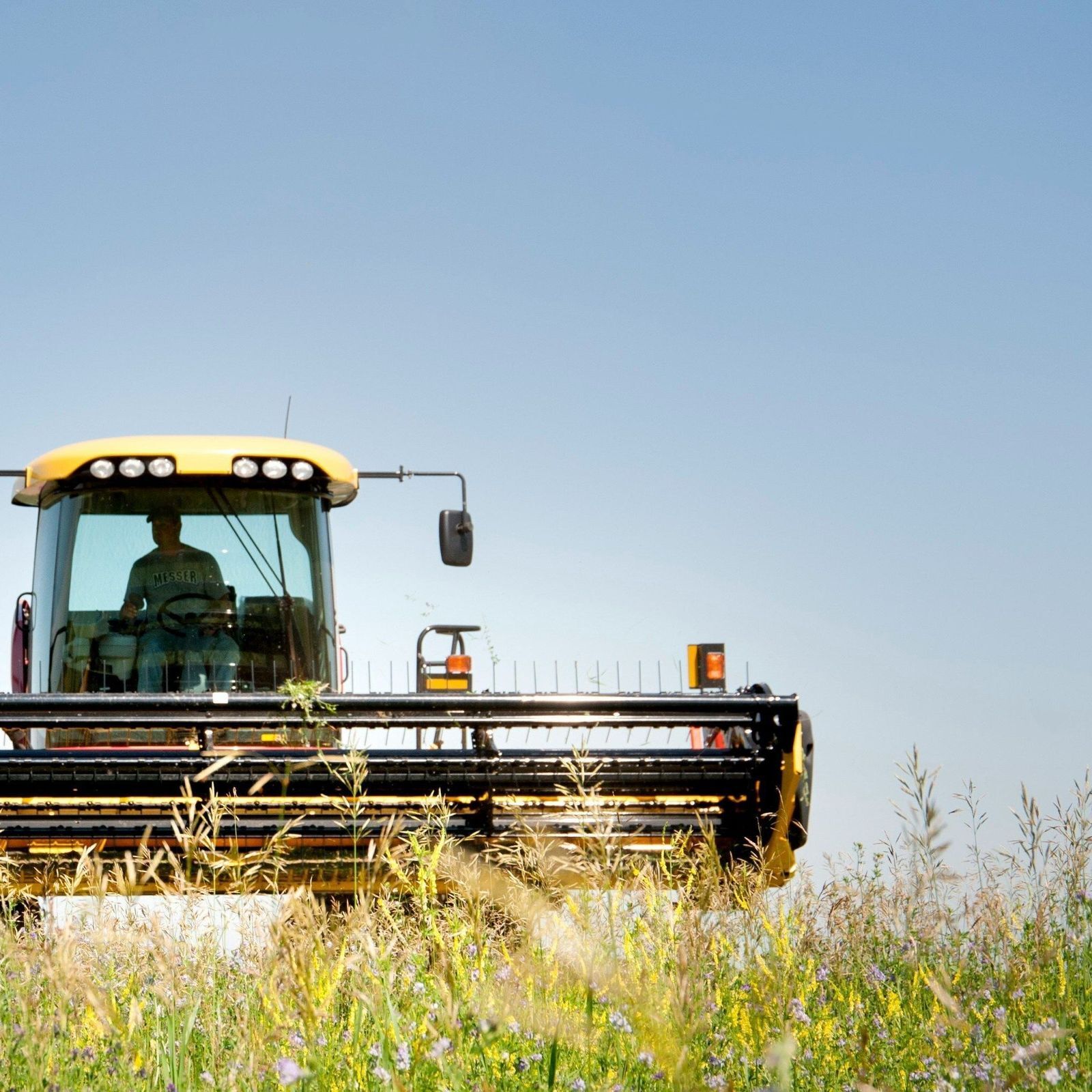 A farmer drives a harvester through a field of alfalfa