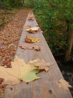 Daily Prayer October 6