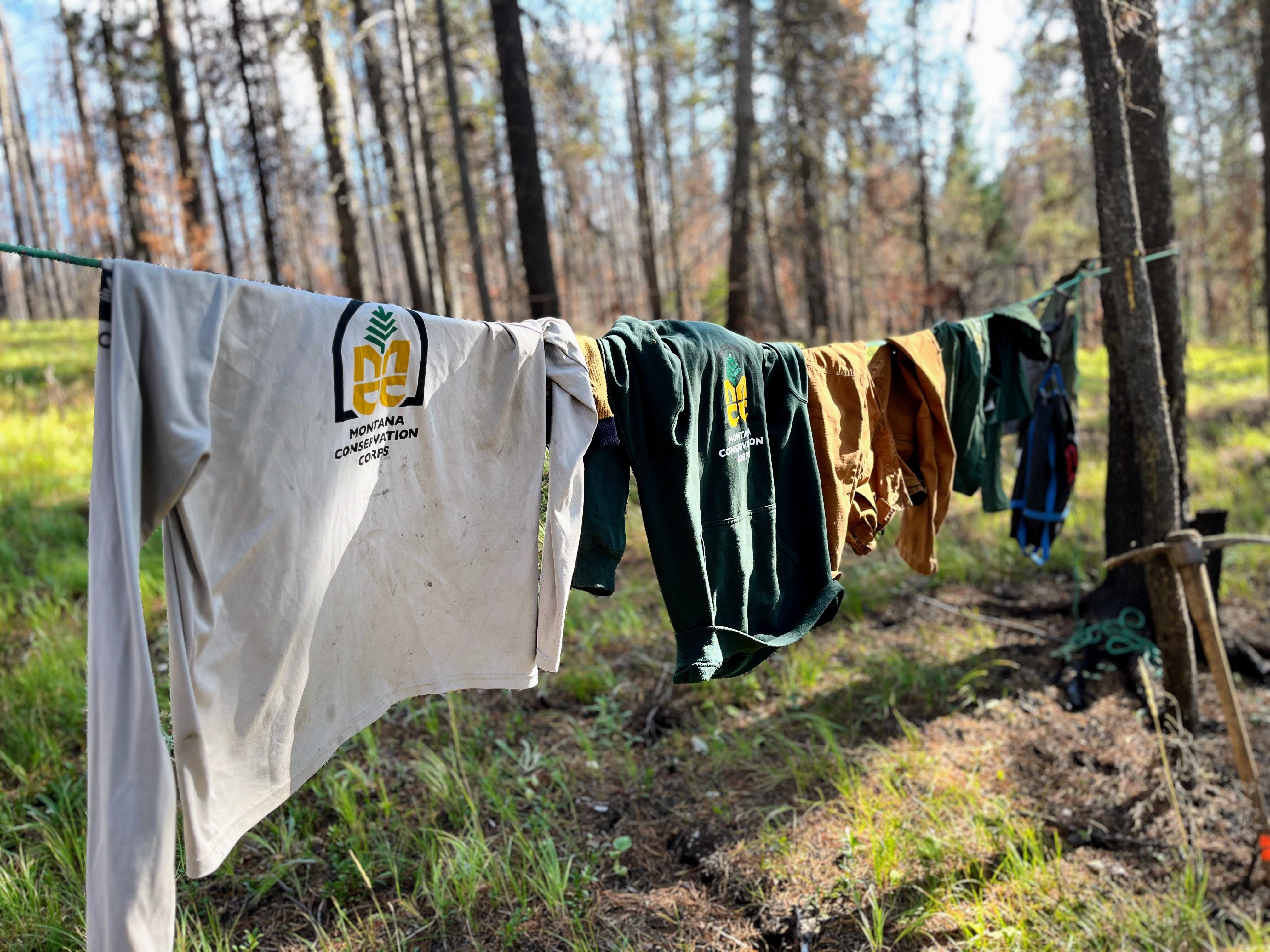 [Image description: Four MCC members holding their chainsaws (with the safety guard on) over their shoulders. In the background, one can see a smoky pink sky.]