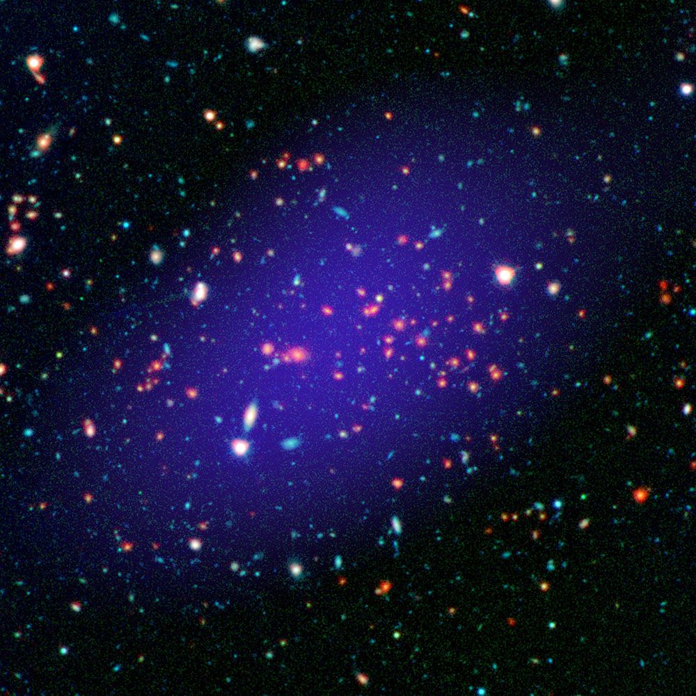 Why Do Galaxies in Large Clusters Age Prematurely?