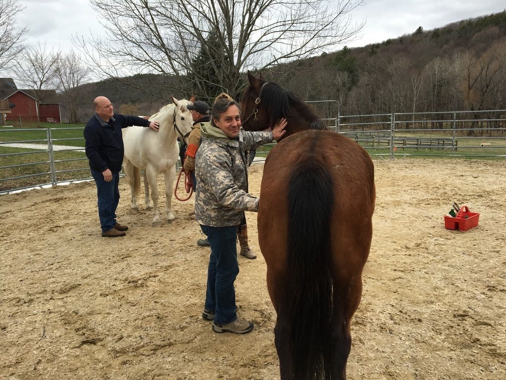 Veteran Equine Therapy