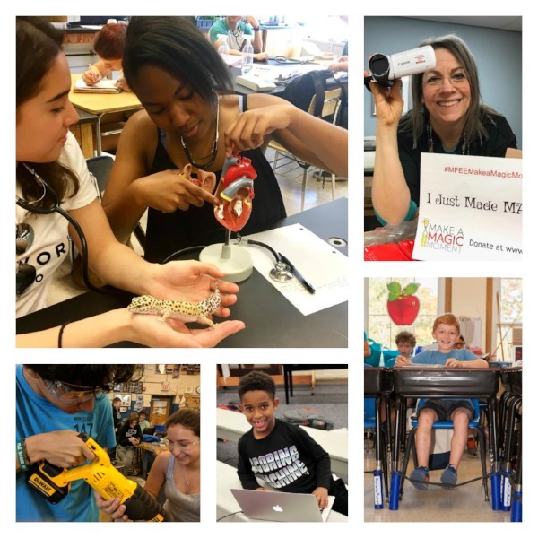 MFEE grants in action