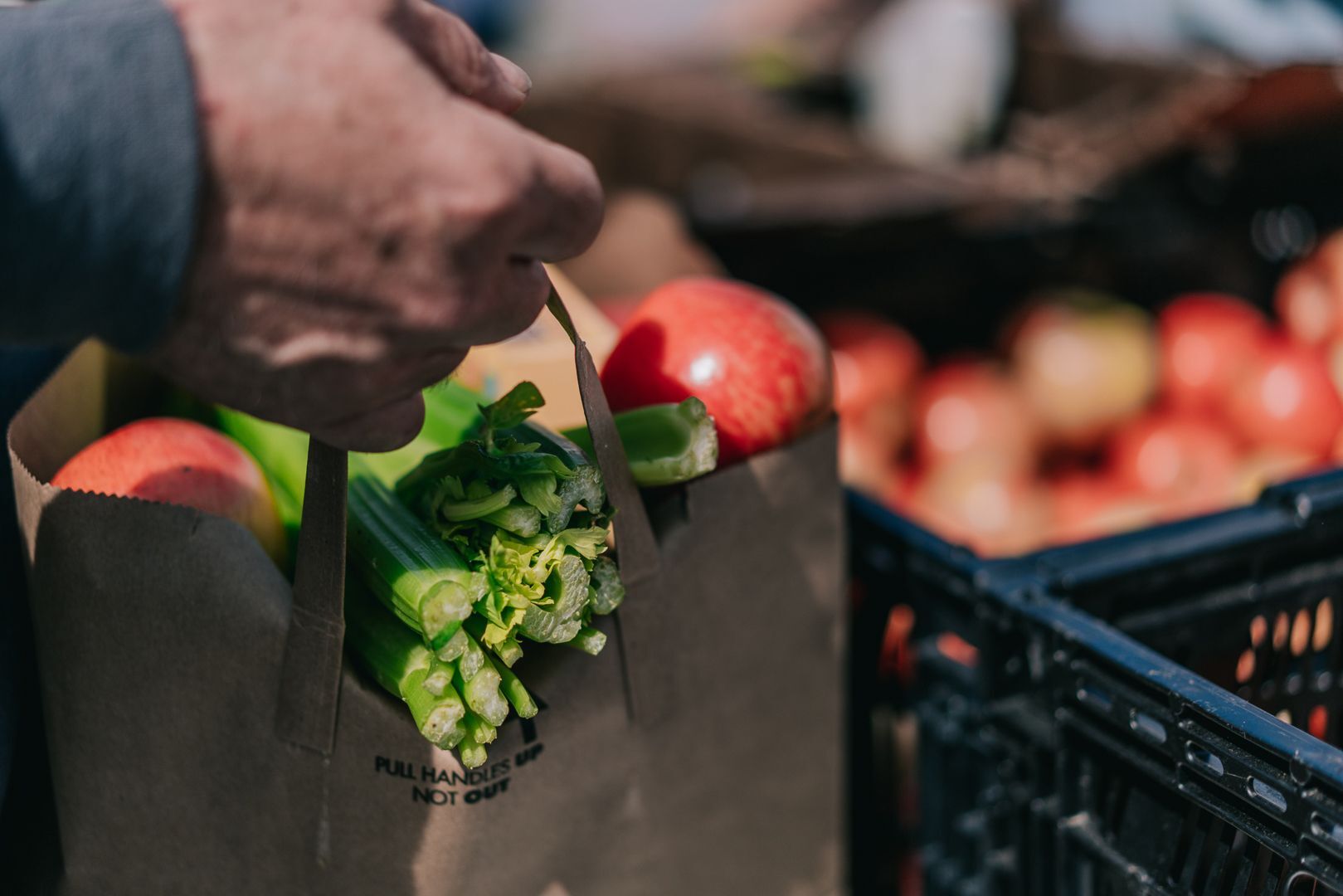 Person holding a bag of fresh produce