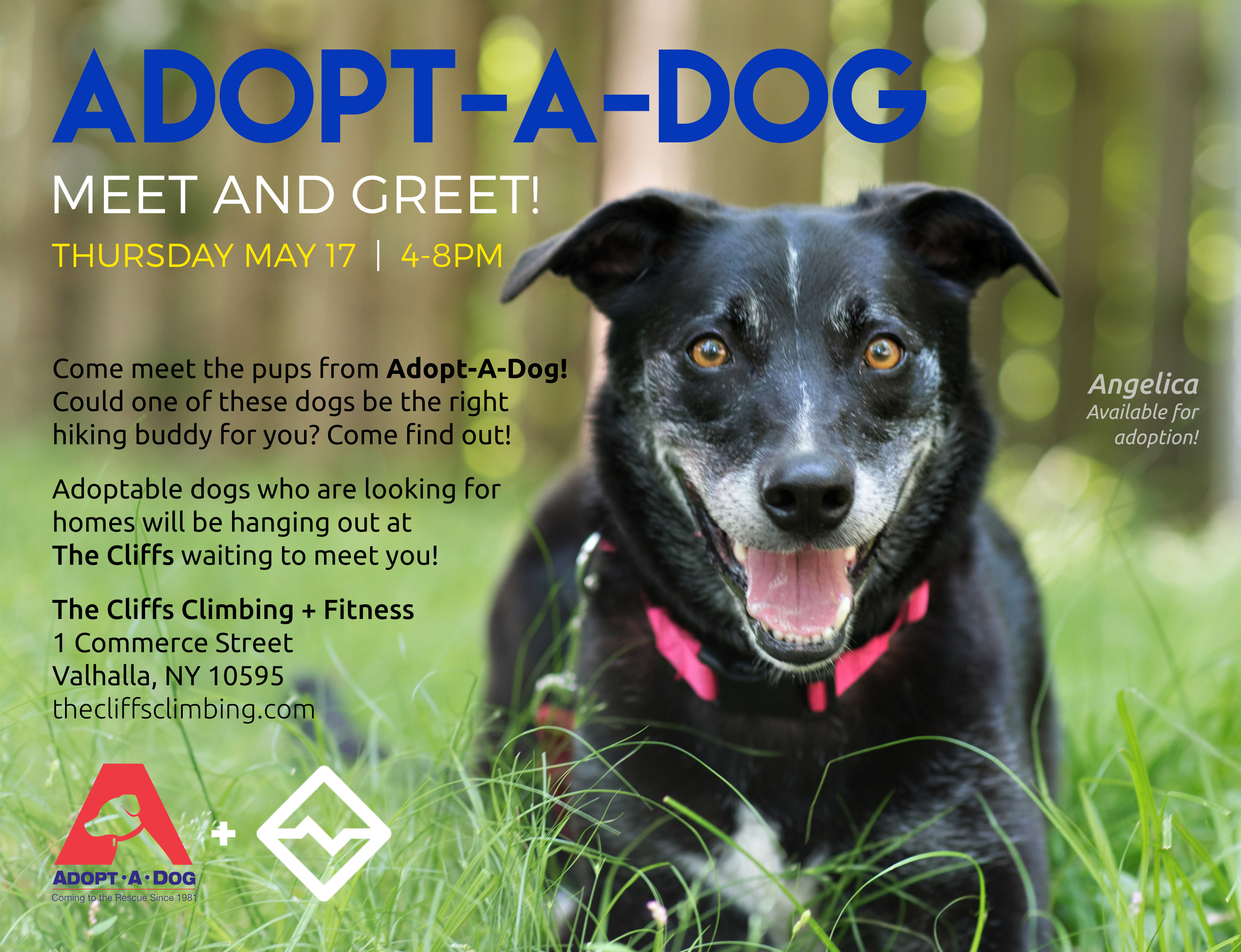 Meet & Greet at The Cliffs Climbing & Fitness