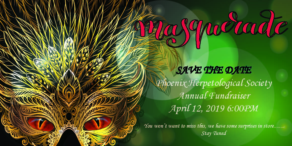 Annual Casino Fundraiser