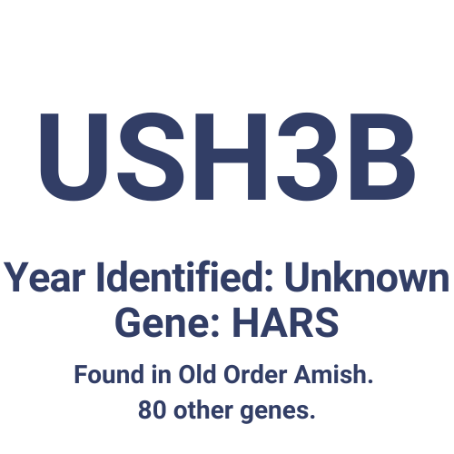 USH3B (Year Identified: 2012 | Gene: HARS1)