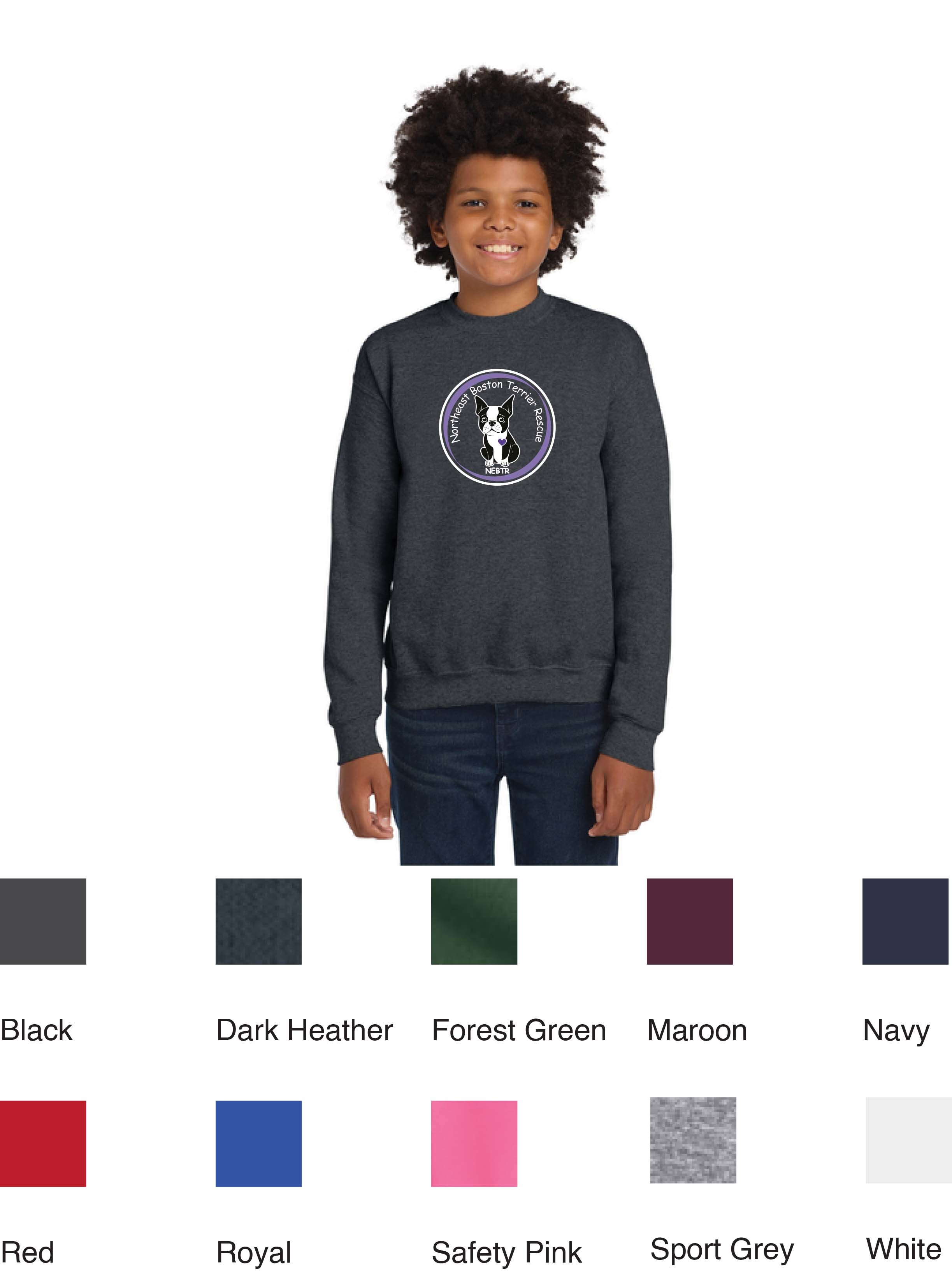 Youth Crewneck (Large Front)