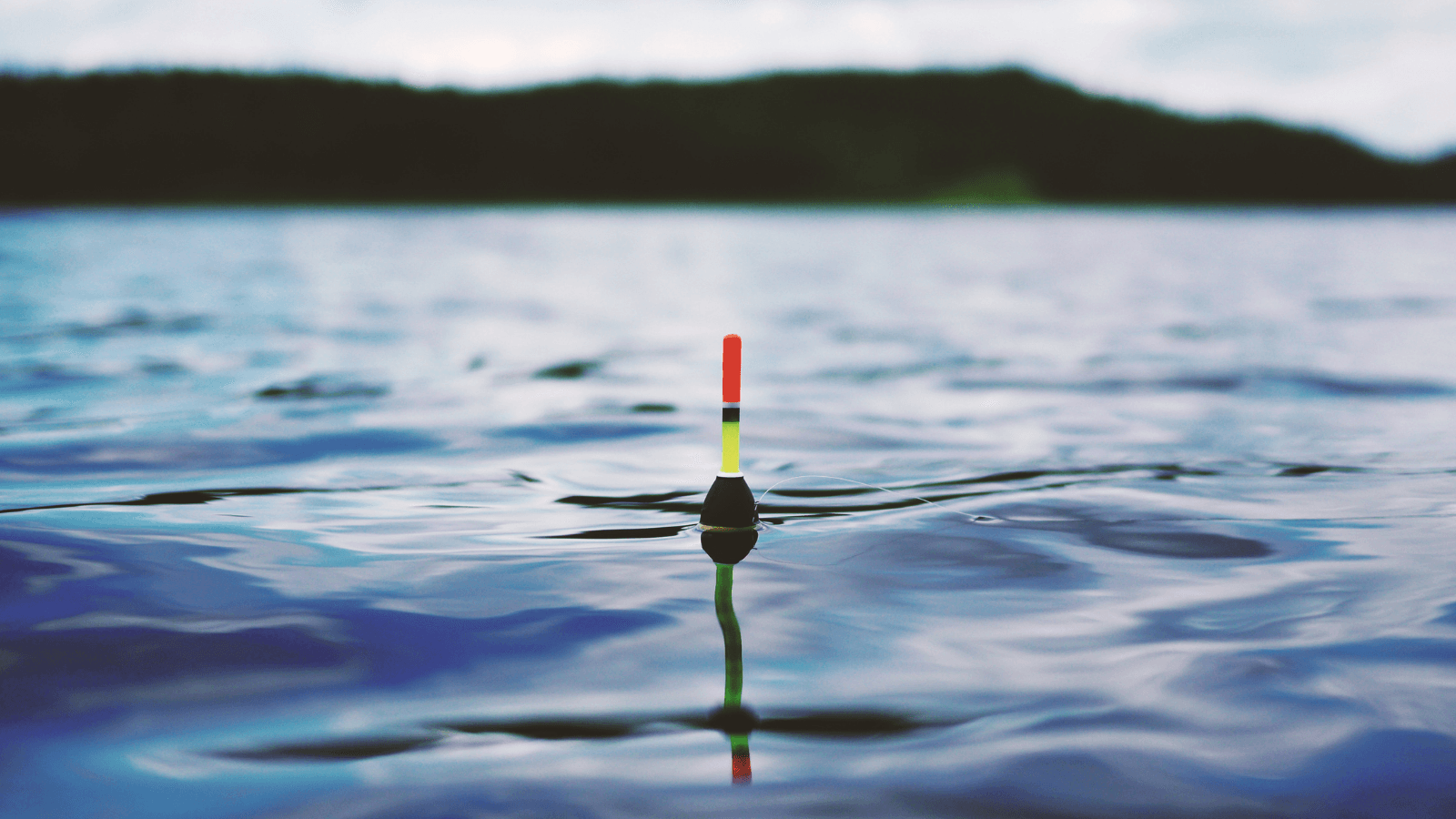 fishing lure sitting on top of water
