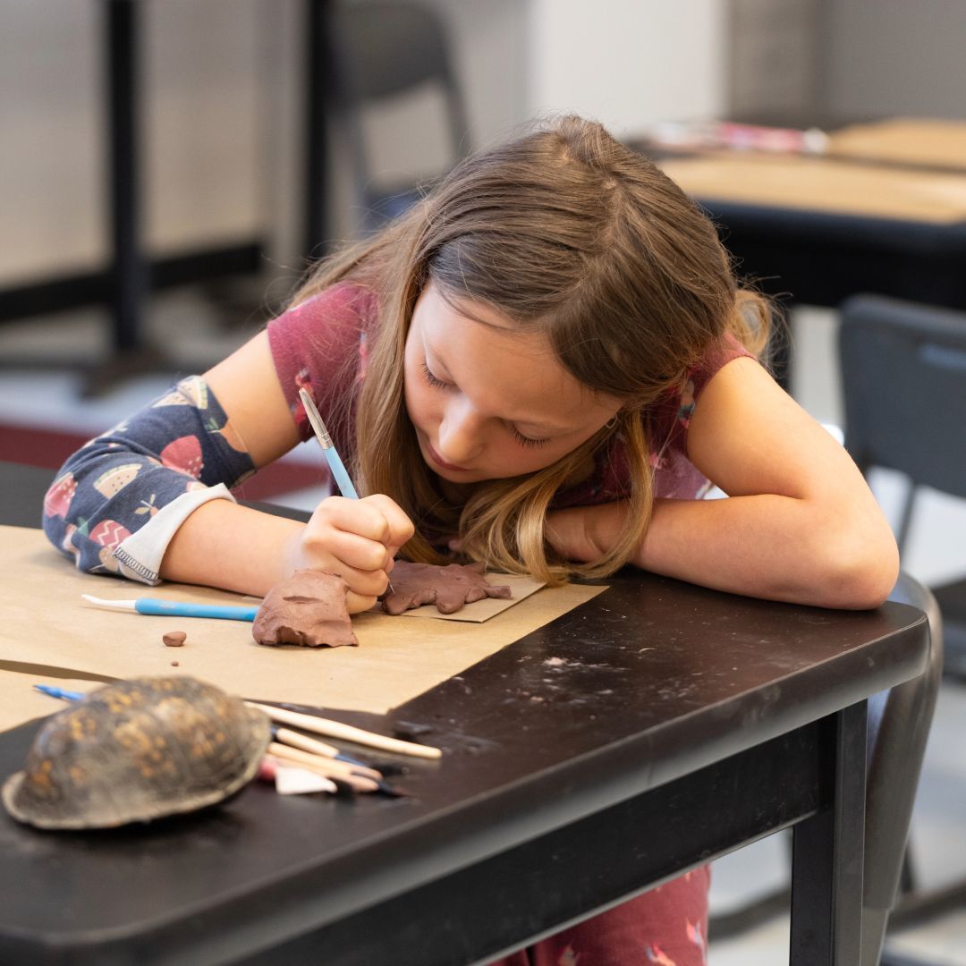 Wild For Art Programs