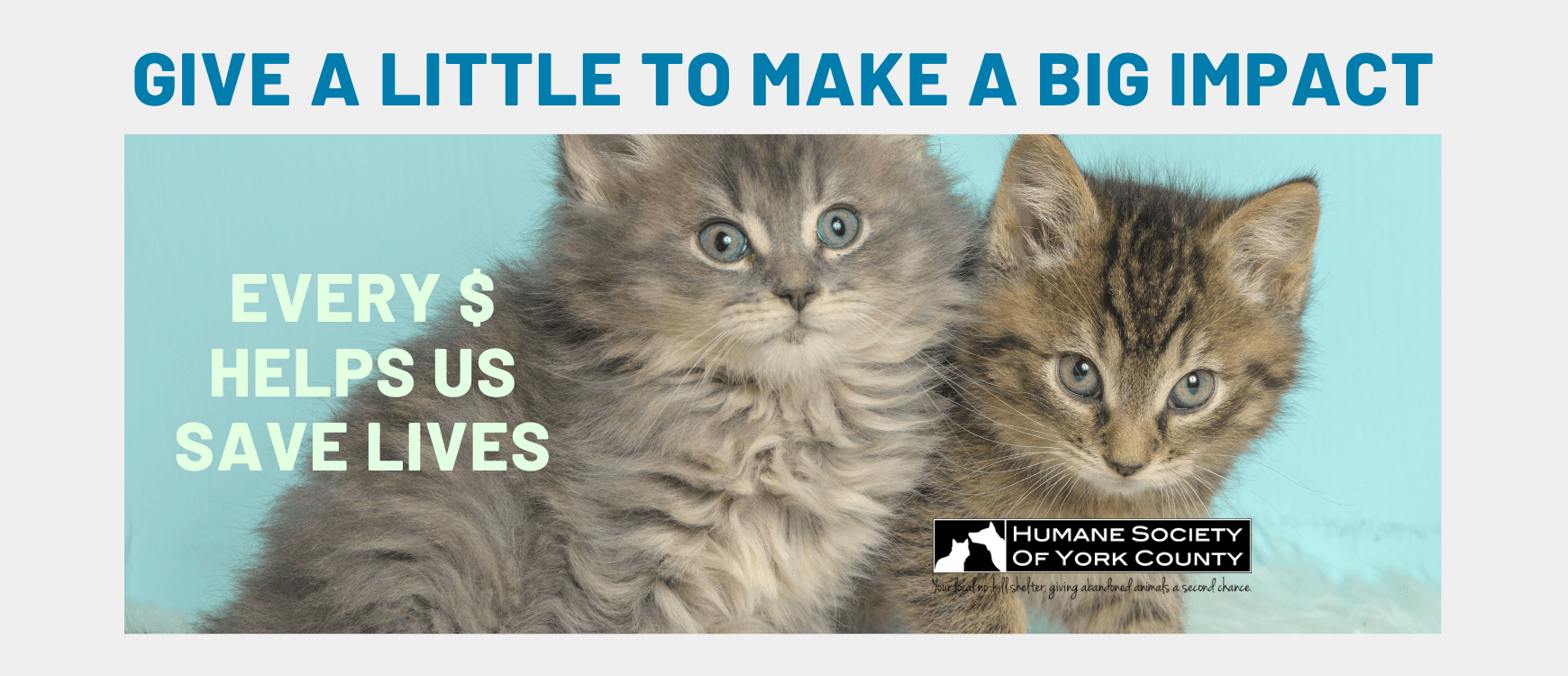 Donate Here!
