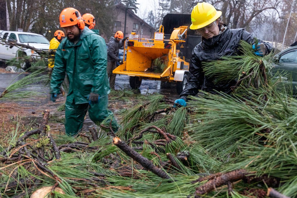 Workers taking piles of brush and putting in a wood chipper at the WRI campus.