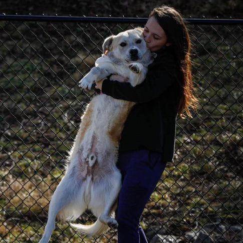 staff member hugging an SPCA dog