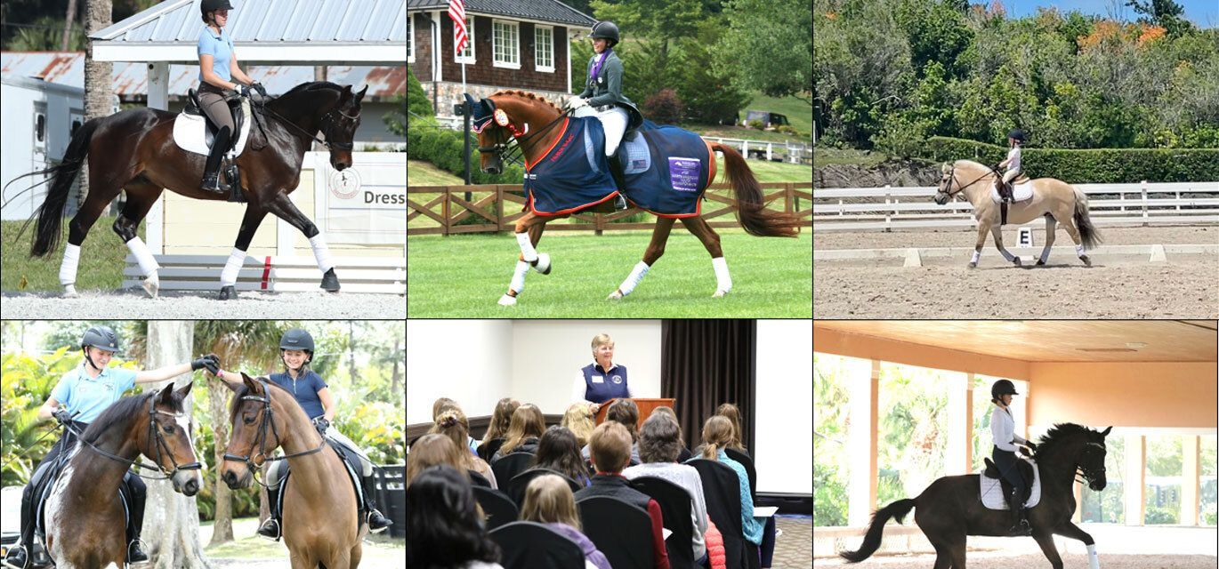 Collection of images of youth riding horses