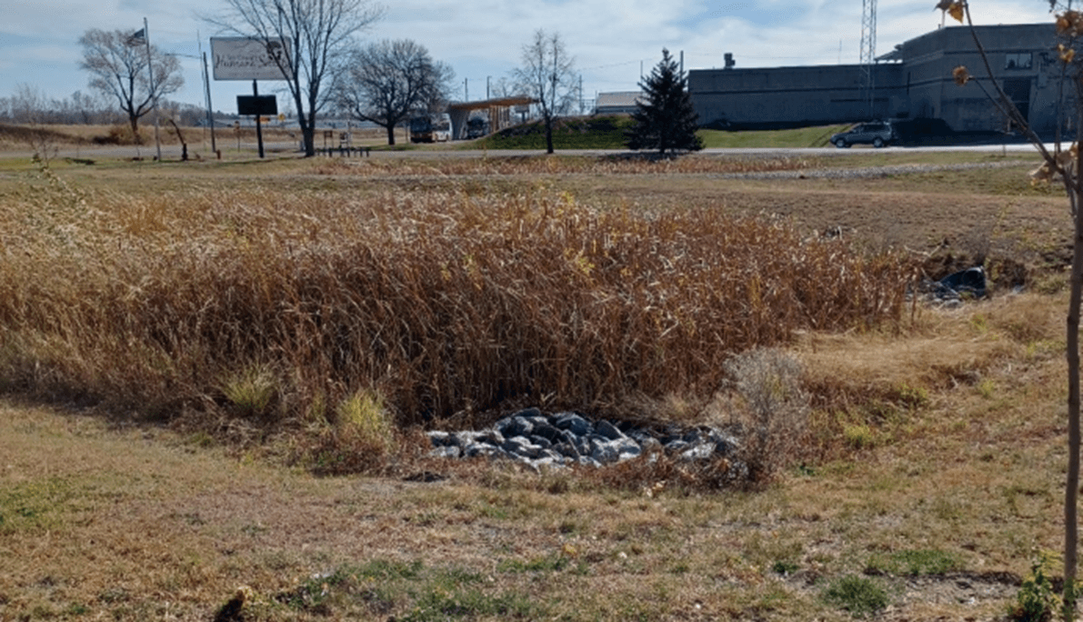 Let’s Take a Peep Into Spring Ecology Around the Shelter