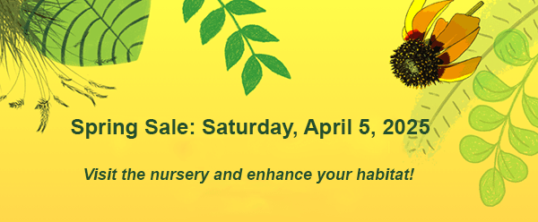 Natives Nursery Spring Sale