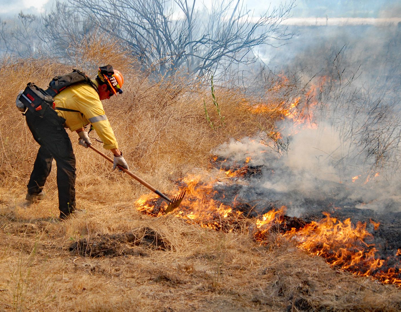 Brush Clearance Preparedness Our Work Los Angeles Fire Department