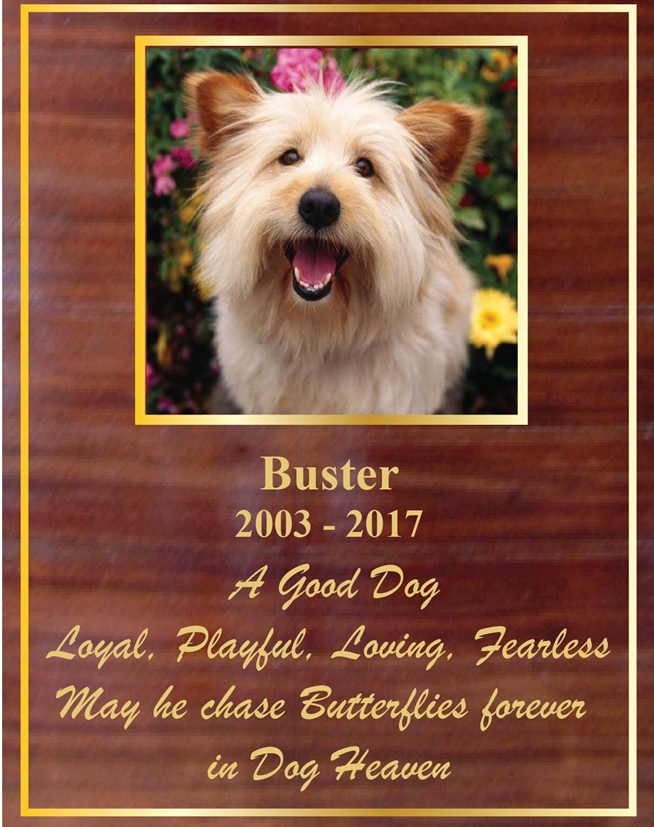 WM1610 - Memorial Photo Plaque for Dog, Mahogany