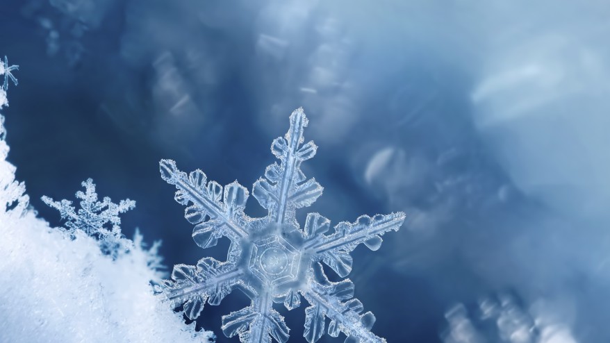Winter Wonderland Walk
