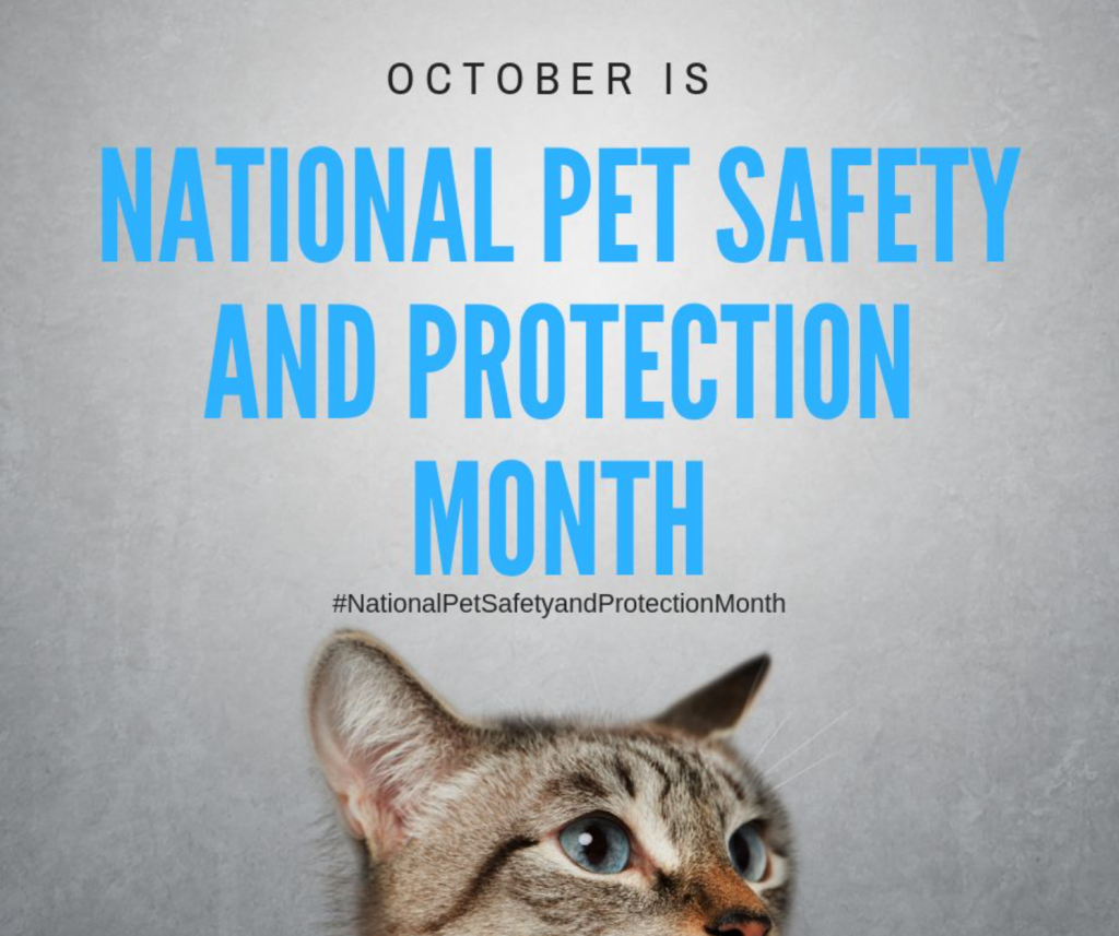 National Pet Safety and Protection Month