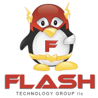 Flash Technology Group