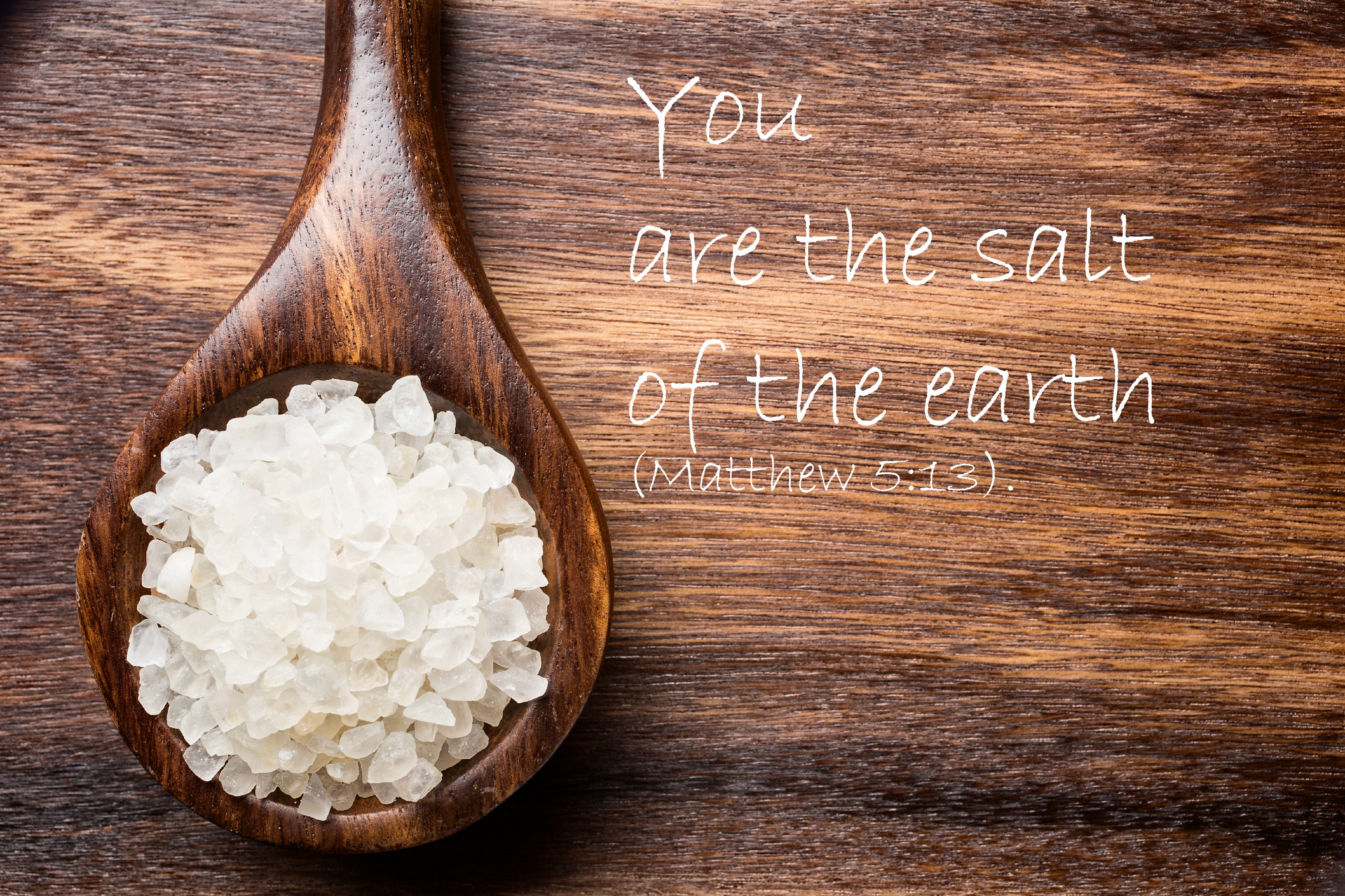 SALT of the Earth