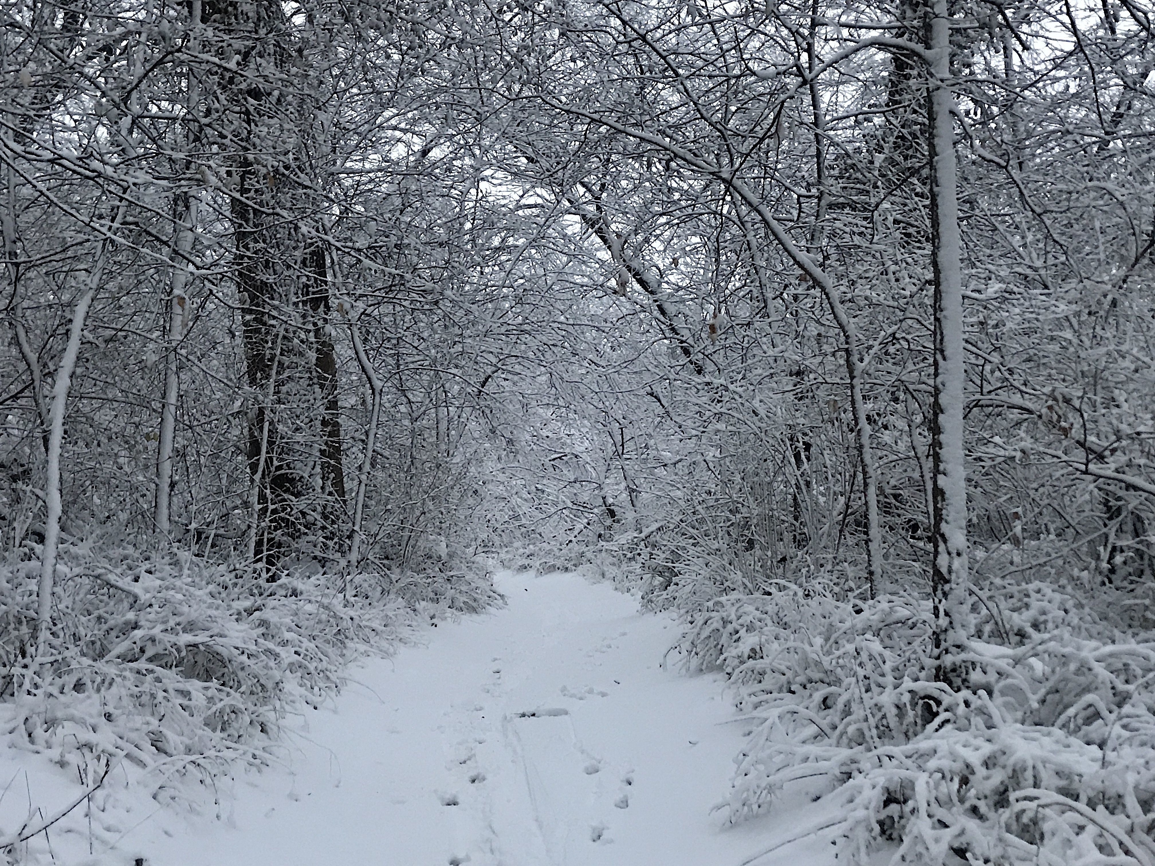 Winter Hiking Tips