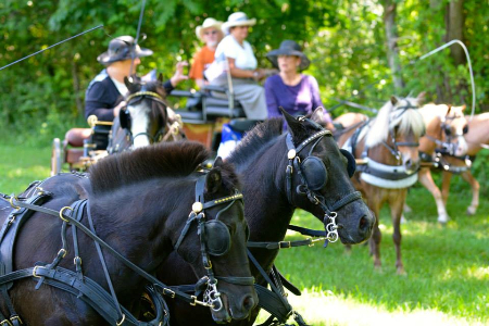 Morven Park’s Carriage Pleasure Show Offers Fourth of July Spectacular