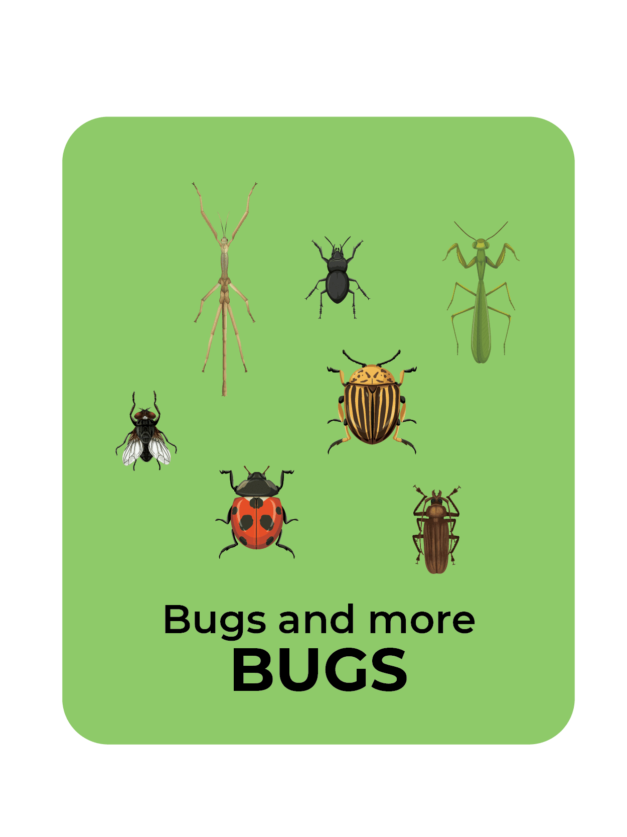 Bugs and more Bugs