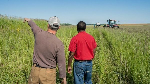 We partner with the USDA Natural Resources Conservation Service to provide funding to put towards agricultural improvements such as cover crops. 