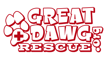 Great Dawg Rescue 