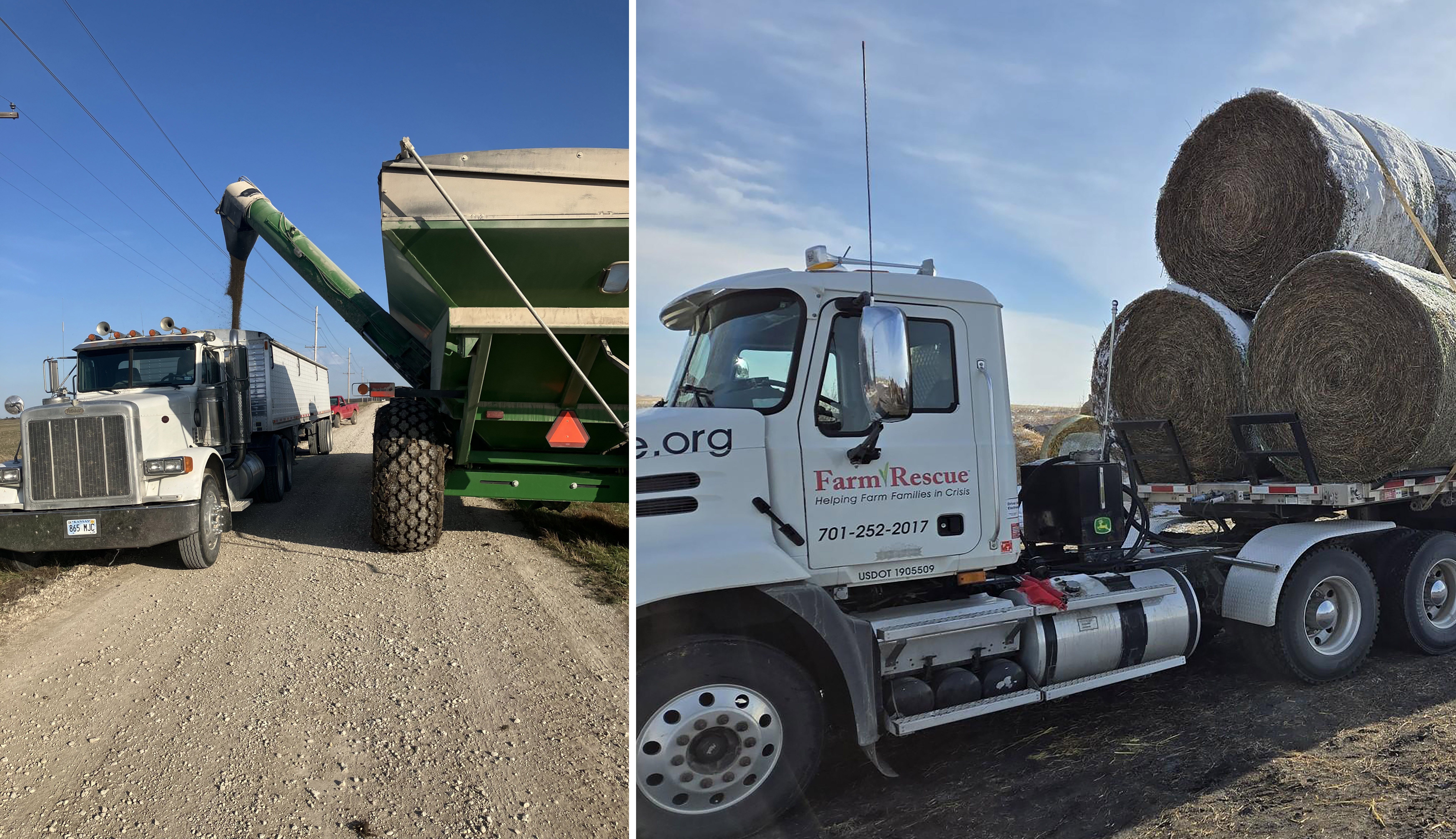 A grain cart dumping grain. A Farm Rescue semi loaded with round hay bales.