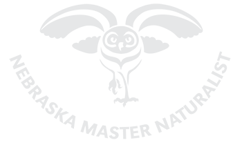 Nebraska Master Naturalist Foundation
