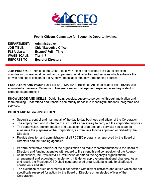Chief Executive Officer
