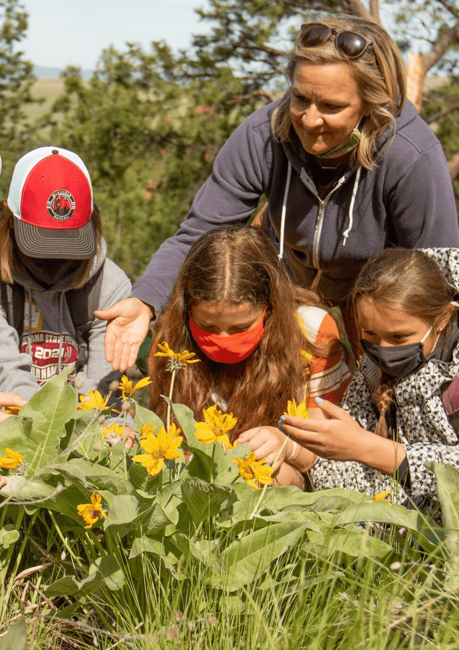 Program and Speaker Requests