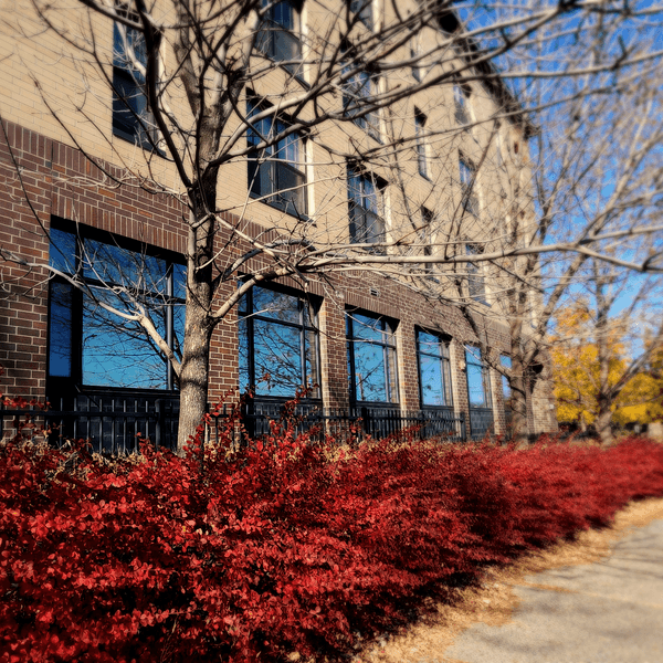 Clare Housing Awarded Over $4.5 Million To Preserve Deeply Affordable Housing for People Living with HIV