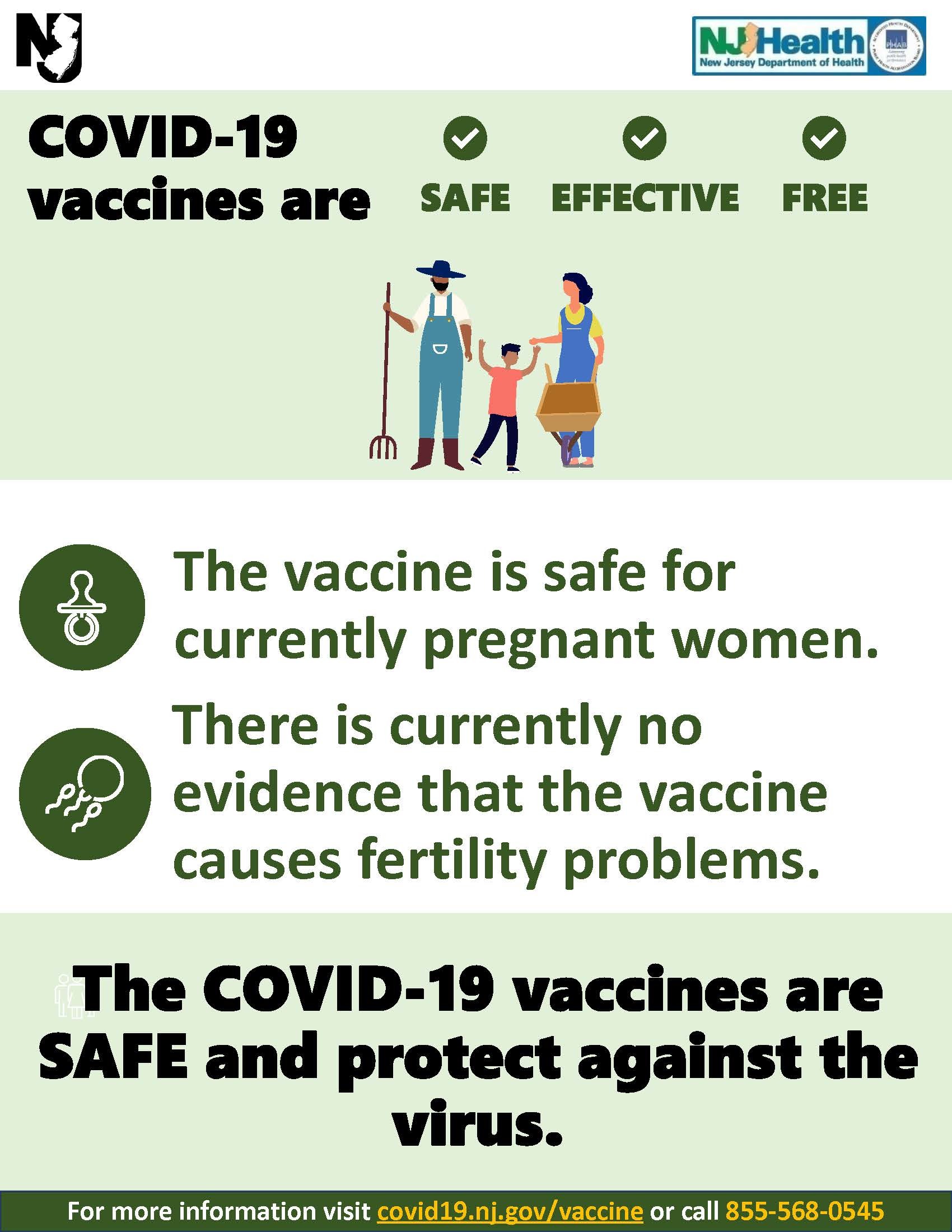 COVID-19 Vaccine During Pregnancy flyer