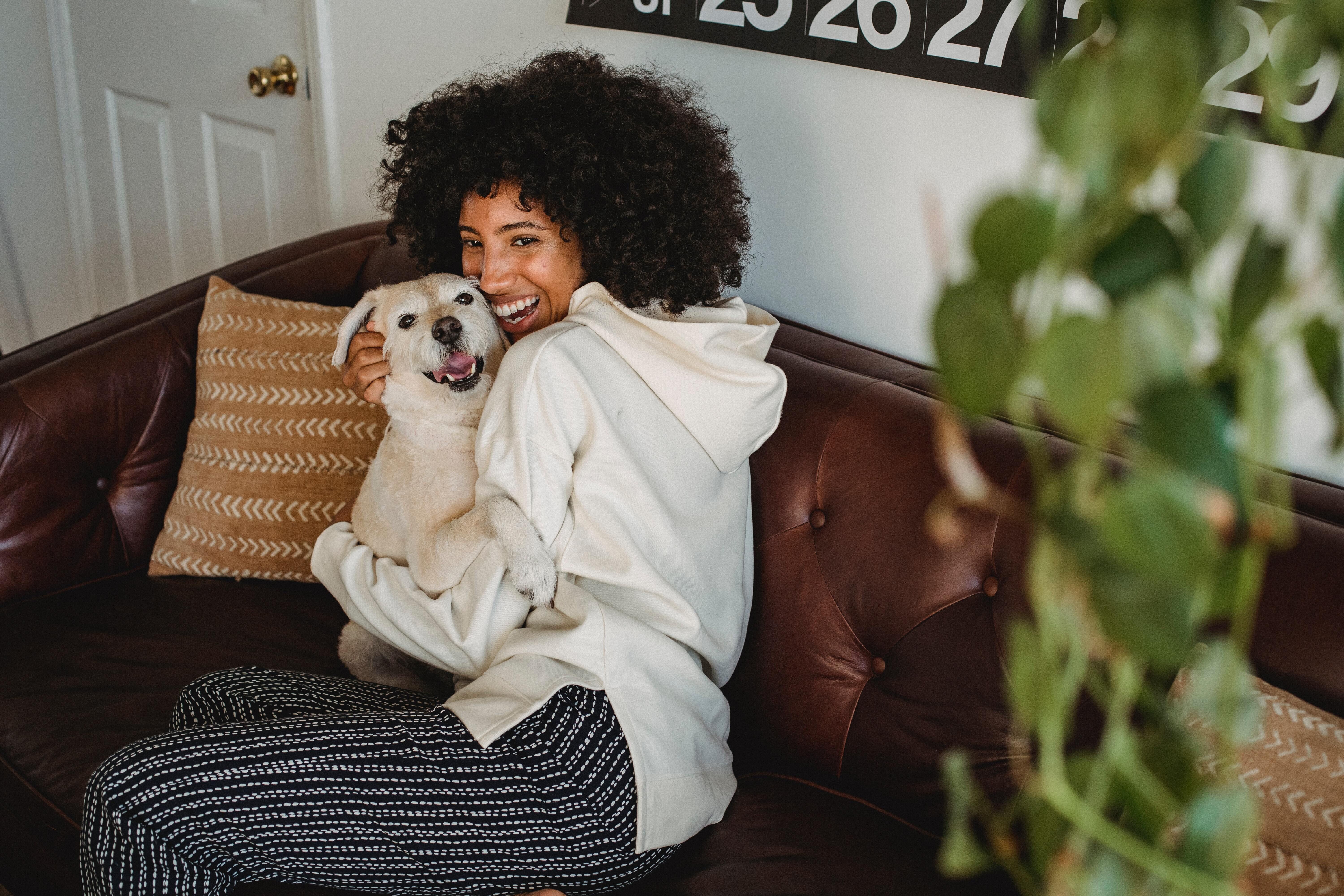 How to Pick a Home That Your Pet Will Love