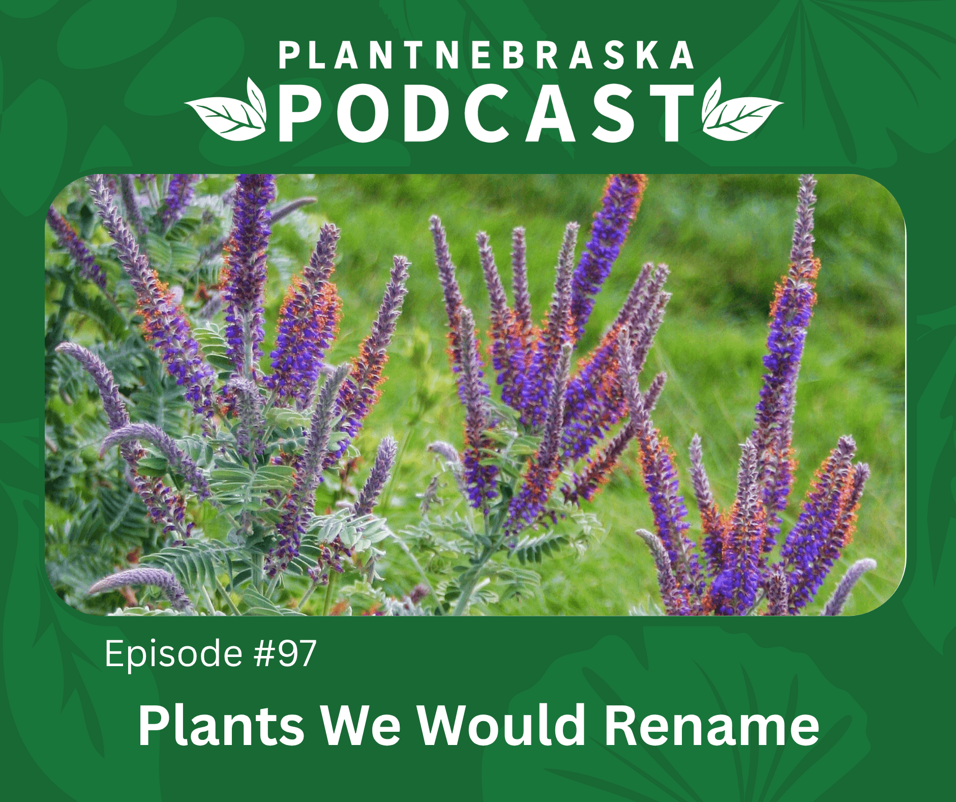 #97 Plants We Would Rename