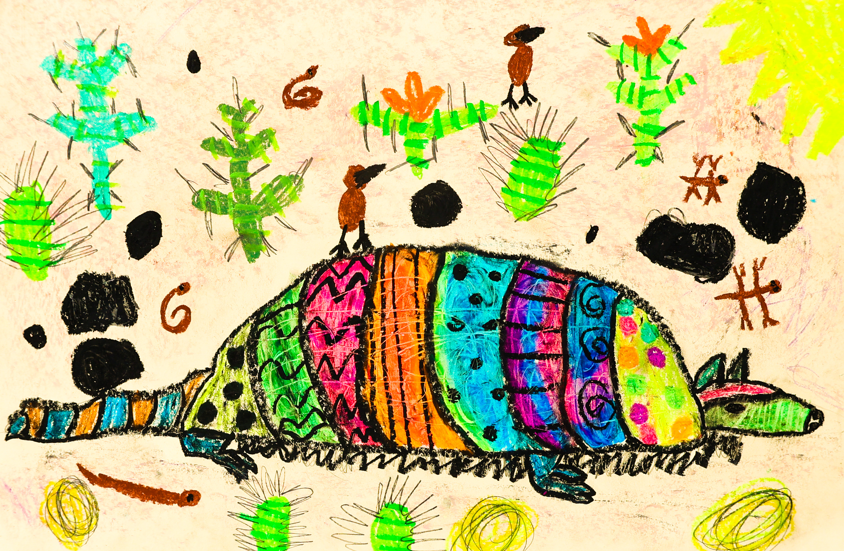 Armadillo in a Desert