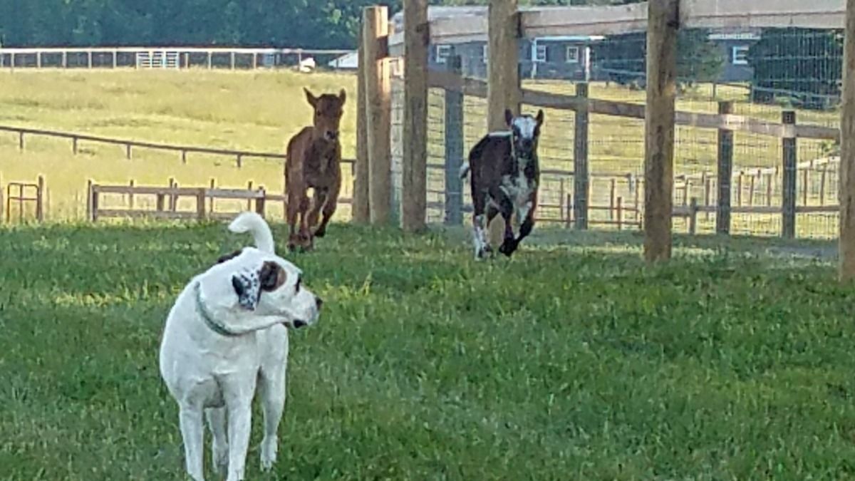 Next came Miles and Journey