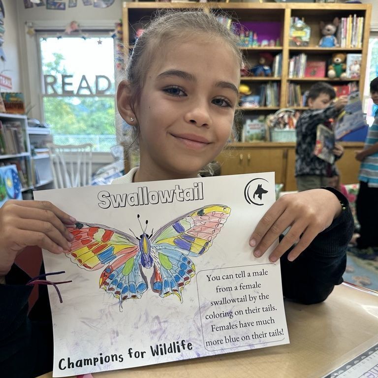 Second grade girl holding up a butterfly drawing