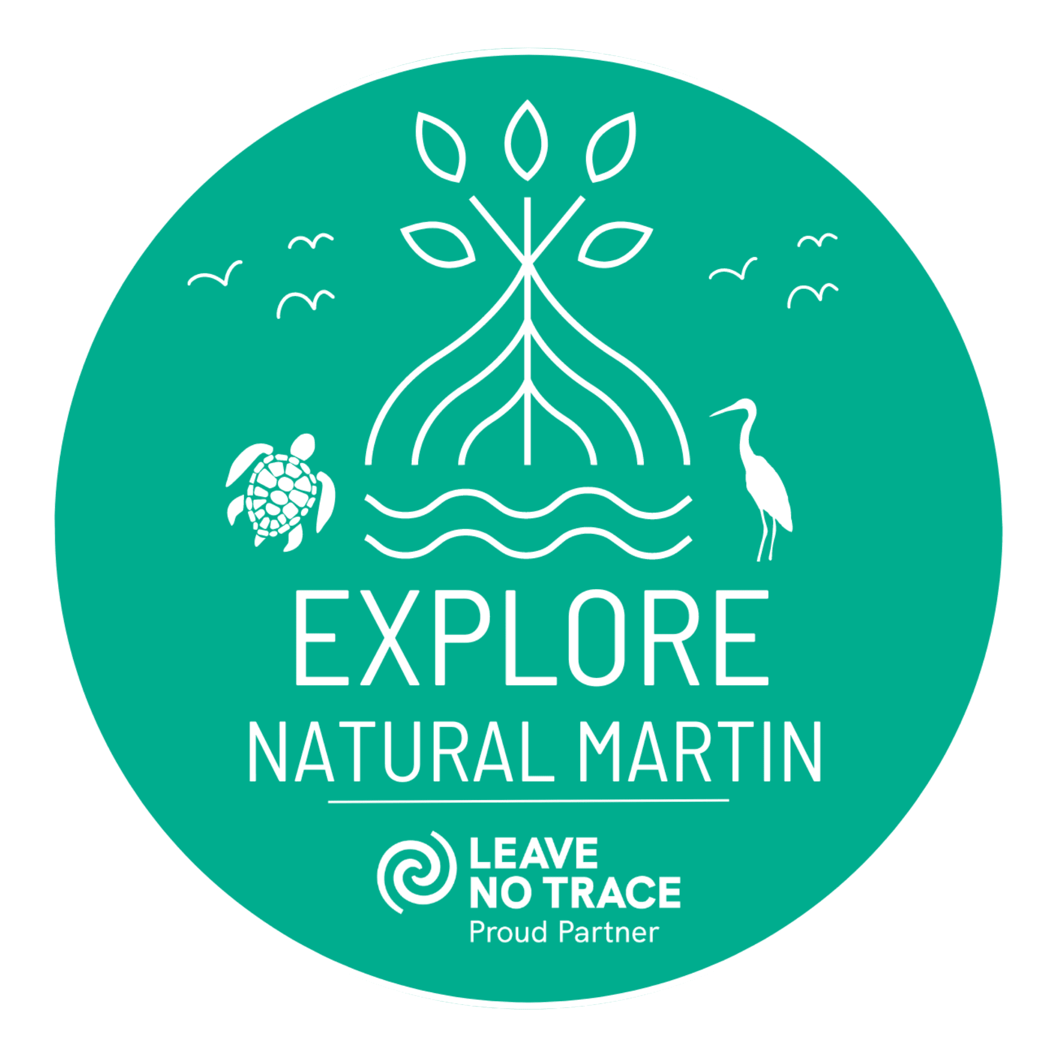 Discover Martin: Explore Natural Martin 