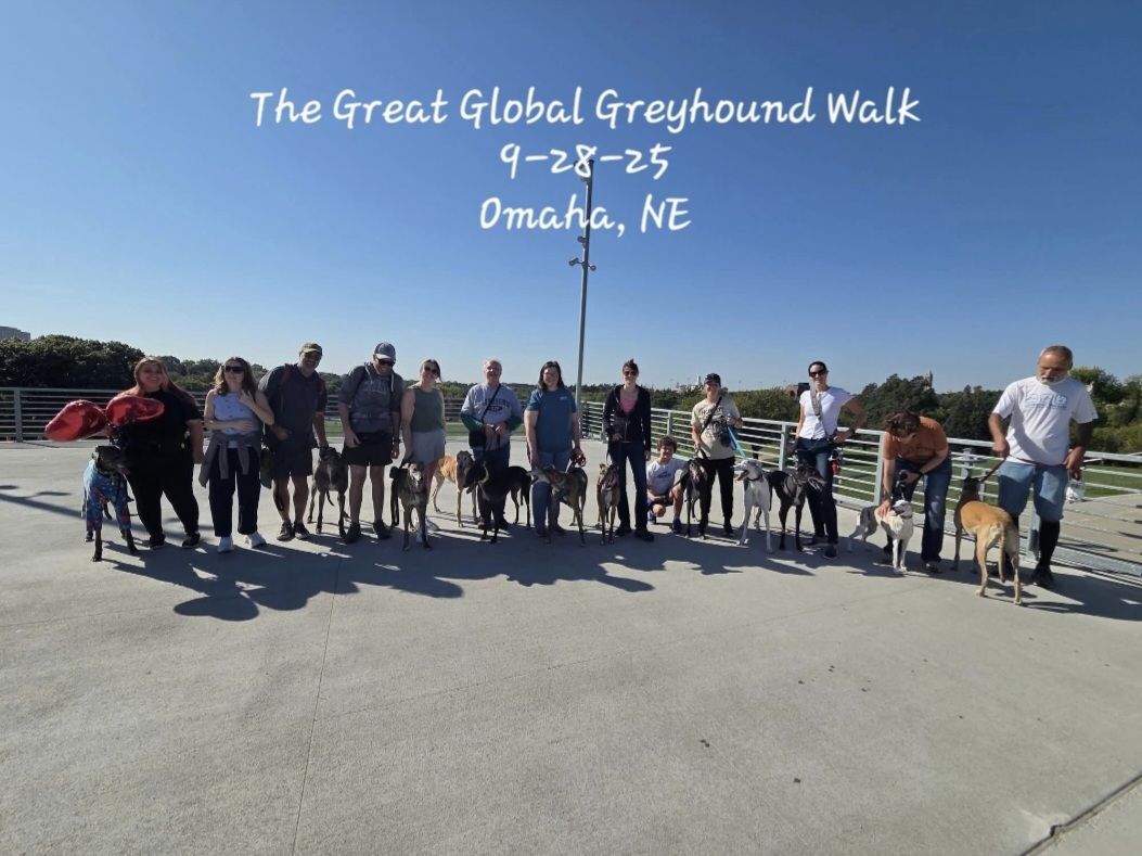 Global Greyhound Walk
