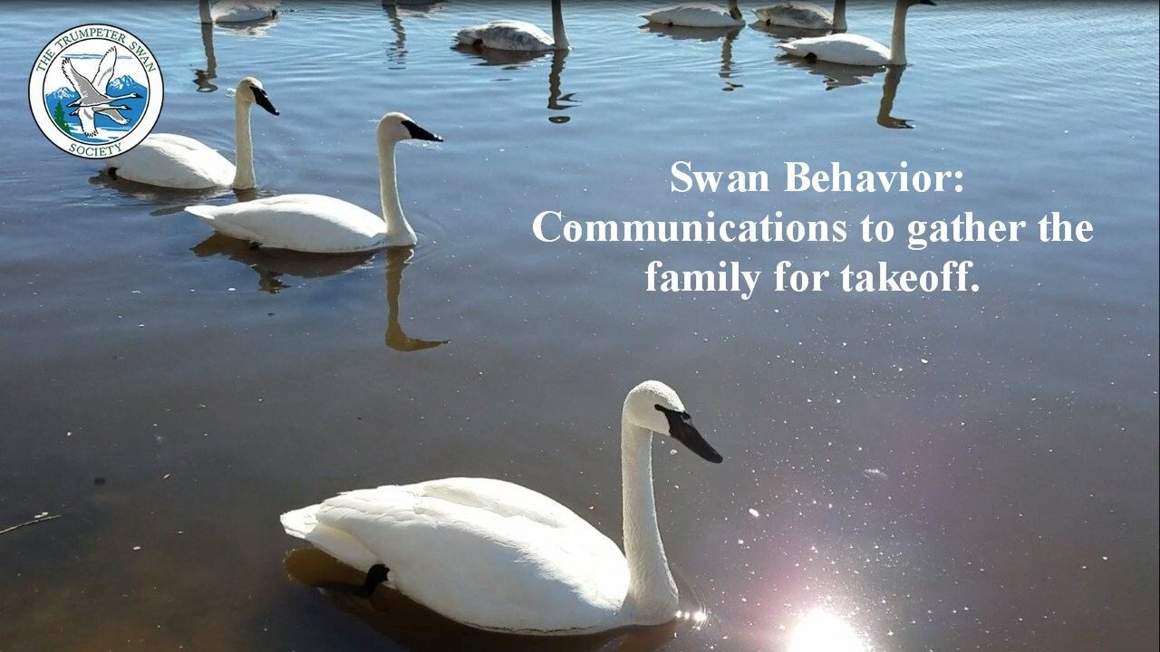 Communications to gather the family for take-off