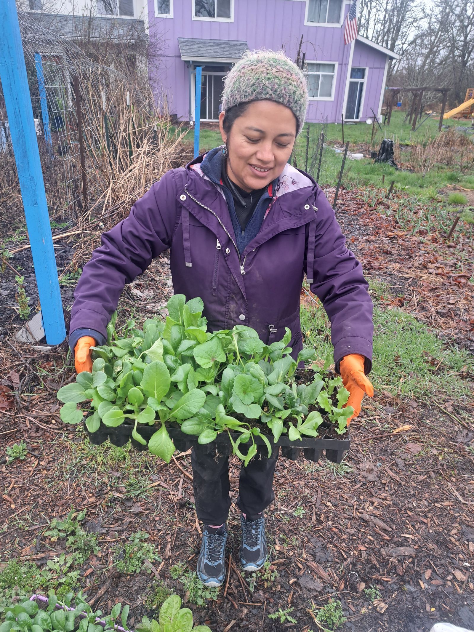 Growing Ancestral Roots