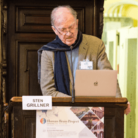 The execution of movement: a spinal affair